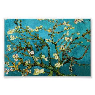 Van Gogh Blossoming Almond Tree (F671) Fine Art Poster