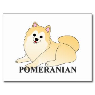 Pomeranian Dog Cartoon Postcards