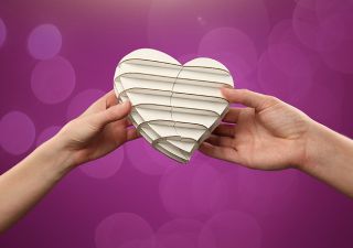 Cardboard Safari Heart Shaped Gift Box
