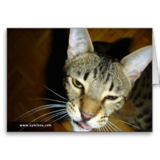Savannah Cat Funny Card