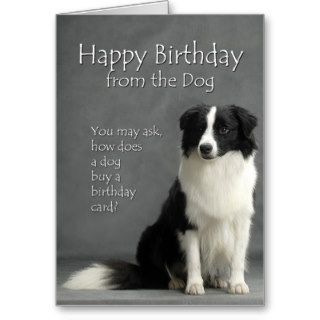 From the Border Collie Greeting Cards