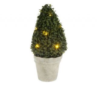 BethlehemLights BatteryOperated 14 Cone Boxwood Tree with Timer —