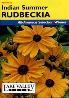 Lake Valley 696 Rudbeckia Indian Summer Seed Packet  Flowering Plants  Patio, Lawn & Garden
