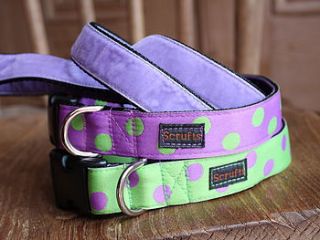 captain jack dog collar and lead by scrufts