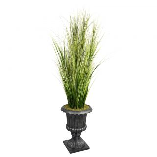 Laura Ashley 74 Tall Onion Grass With Twigs In 16 Fiberstone Planter