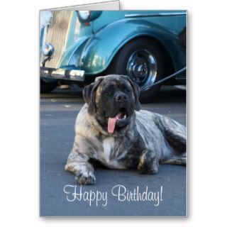 Happy Birthday English Mastiff Greeting Card