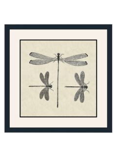 Dragonfly Trio by Epic Art