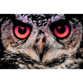 Salty & Sweet Night Owl Graphic Art on Canvas SS034 Size 16 H x 24 W x 2 D