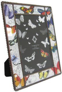 Concepts Frames B409946WH 4 x 6 Inch White Butterfly Paper Inlay Picture Frame   Single Frames