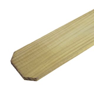 Pine Dog Ear Pressure Treated Wood Fence Picket (Common 5/8 In x 3 1/2 In x 72 in; Actual 0.625 in x 3.5 in x 72 in)
