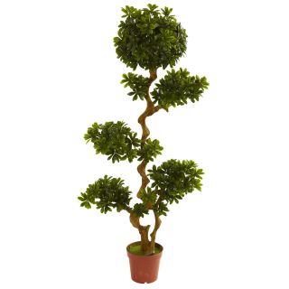 Pittispourm 5 foot Uv Resistant Tree (indoor/outdoor)
