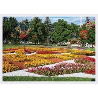 Summer Scenes Placemats Flower Garden Health & Personal Care