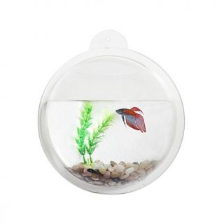 Wall Mount Acrylic Fishbowl with Gravel and Aquarium Decoration
