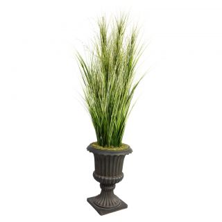 Laura Ashley 74 inch Tall Onion Grass With Twigs In Fiberstone Planter