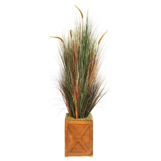 Laura Ashley 69 inch Onion Grass With Cattails In 13 inch Fiberstone Planter