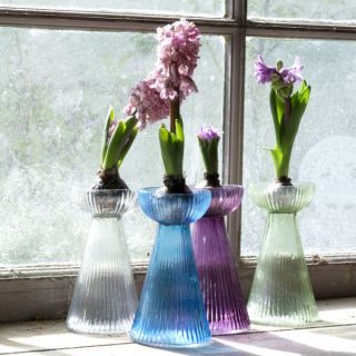 Nkuku Hyacinth Bulb Vase   Clear   16 x 9cm      Homeware