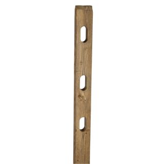 Split Rail Pressure Treated Wood Fence Line Post (Common 7 ft; Actual 7 ft)