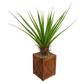 Laura Ashley 53 Tall Agave Plant With Cocoa Skin In 13 Fiberstone Planter