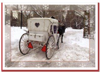 White Carriage in Central Park. New York Christmas Cards Set of 6 Health & Personal Care