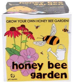 Sow and Grow Honey Bee Garden      Traditional Gifts
