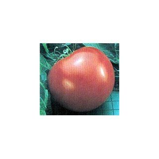 Original Goliath Tomato 45 Seeds  Vegetable Plants  Patio, Lawn & Garden