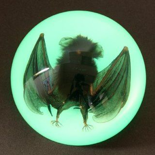 4" Bat Dome Paperweight Glow in the Dark Toys & Games