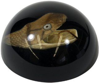 3.5" Snake Head Dome Paperweight Black Toys & Games