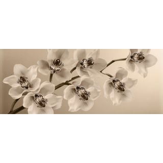 Graham & Brown Graham and Brown Orchid Branch Photographic Print on Canvas 40