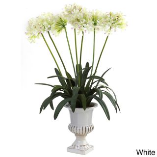 African Lily With Urn