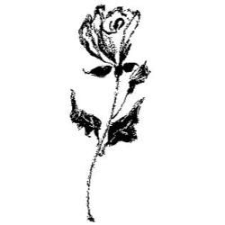 Penny Black Mounted Rubber Stamp 4.5 X1.75   Single Rose