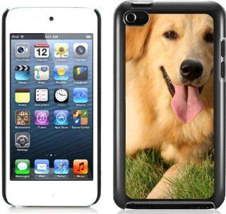 Golden Retriever Pets Dog Hard Plastic and Aluminum Back Case For Apple iPod Touch 4 4th Generation With 3 Pieces Screen Protectors Cell Phones & Accessories
