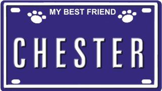CHESTER Dog Name Plate for Dog House. Over 400 Names Availaible. Type in Name" Dog Plate in Search. Your Dog Name will show up."  Kitchen & Dining