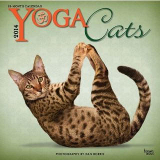 Yoga Cats 2014 Calendar