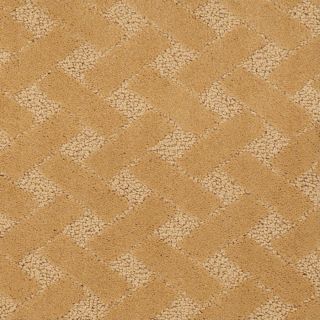 STAINMASTER Active Family Crowning Glory Indian Summer Fashion Forward Indoor Carpet