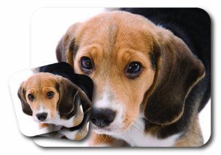 LittleGifts Beagle Mousepad & Coaster Set   Mouse Pads