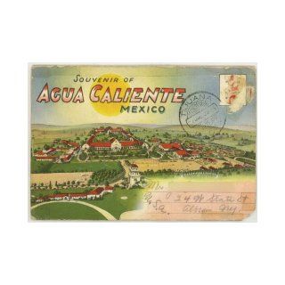 Agua Caliente, Tijuana Mexico (1930's Souvenir Postcard Folder) #D 992 Caliente Race Track, Emma Chesrown Books