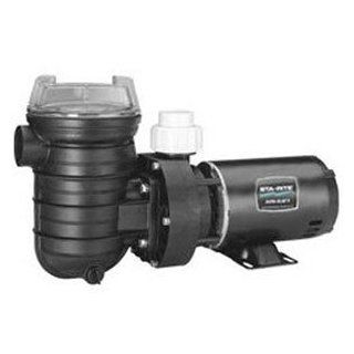 Sta Rite Replacement Above ground Pool Pump   1 HP  Swimming Pool De Filters  Patio, Lawn & Garden