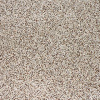 STAINMASTER Maple Springs Granite Cut Pile Indoor Carpet
