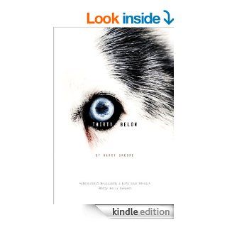 Thirty Below eBook Harry Groome Kindle Store