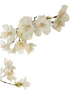 Linea Cherry blossom branch
