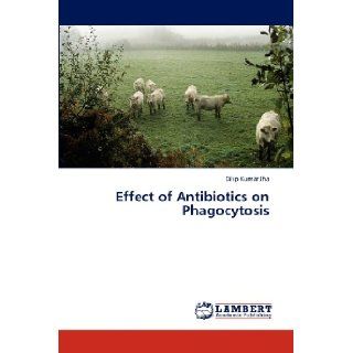 Effect of Antibiotics on Phagocytosis Dilip Kumar Jha 9783843367585 Books