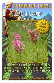 Everwilde Farms   Queen of the Prairie Native Wildflower Seeds   Jumbo Seed Packet (40)  Flowering Plants  Patio, Lawn & Garden