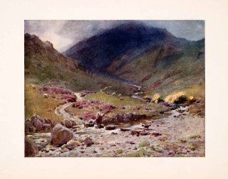 1908 Print Stepping stones Far Easedale Grasmere England Alfred Cooper Sheep Dog   Original Color Print  