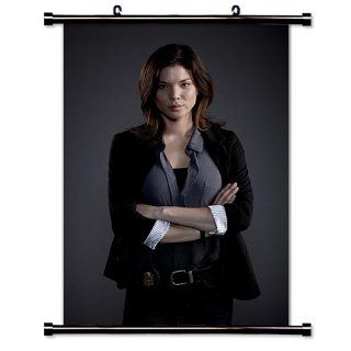 The Following Fox TV Show Fabric Wall Scroll Poster (16" x 23") Inches   Prints