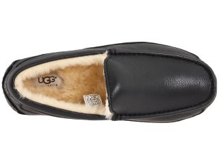 UGG Ascot Leather