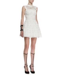Womens Vendela Cutout Back Lace Dress   Alexis   White lace (MEDIUM)
