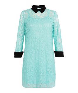 Cameo Rose Mint Green Lace Contrast Collar Swing Dress