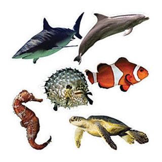 Edupress pre school   6th Grades Bulletin Board Accents, Ocean Life