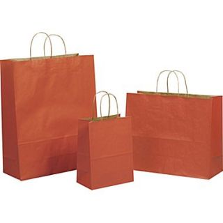 Tinted Color Shadow Terra Cotta with Stripe Shopping Bag