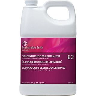 Sustainable Earth by Odor Eliminator #63, 1 gal.